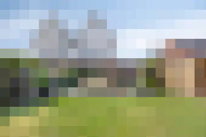 Nieuwenhove 13 Kruiningen thumbnail 33