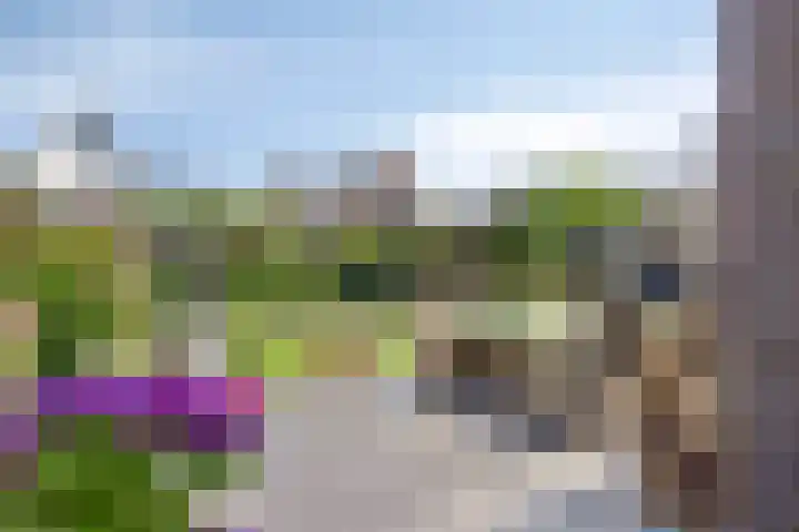 Nieuwenhove 13 Kruiningen thumbnail 35