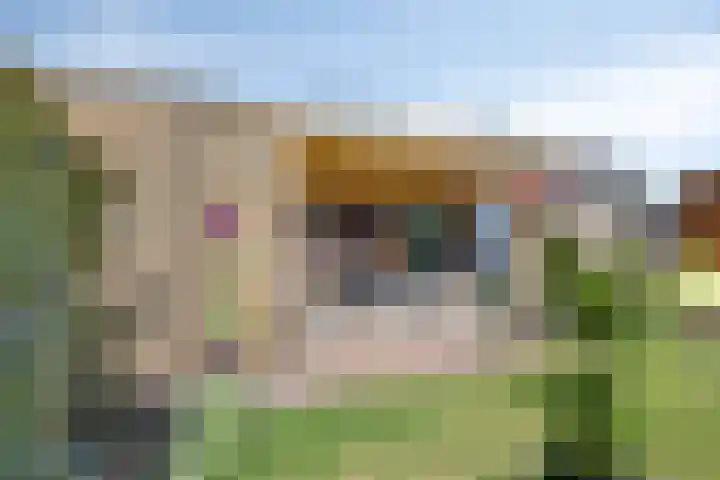 Nieuwenhove 13 Kruiningen thumbnail 37