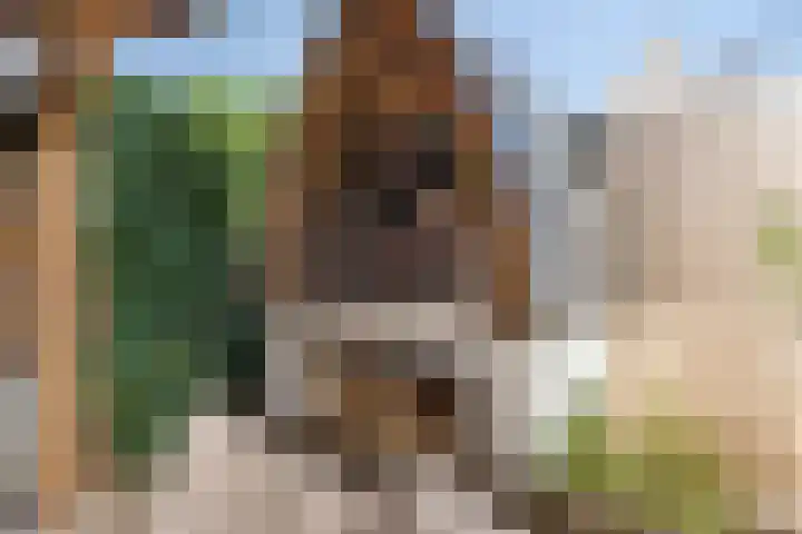 Nieuwenhove 13 Kruiningen thumbnail 38
