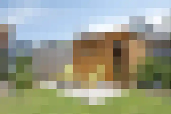 Nieuwenhove 13 Kruiningen thumbnail 39