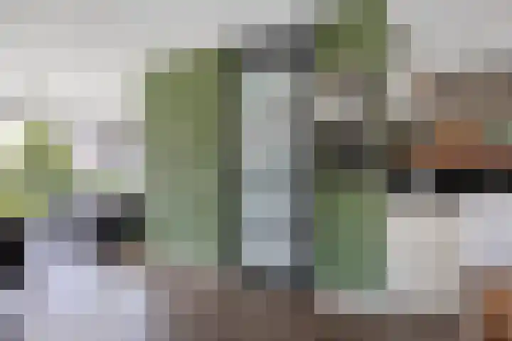 Nieuwenhove 13 Kruiningen thumbnail 4