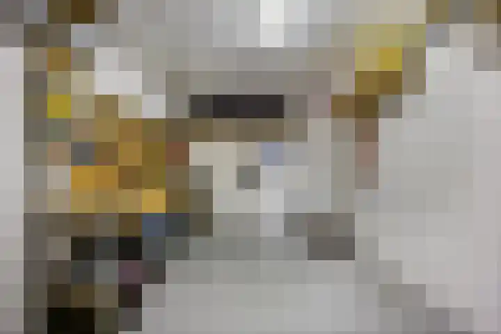 Nieuwenhove 13 Kruiningen thumbnail 43