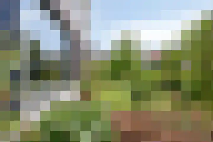 Nieuwenhove 13 Kruiningen thumbnail 45