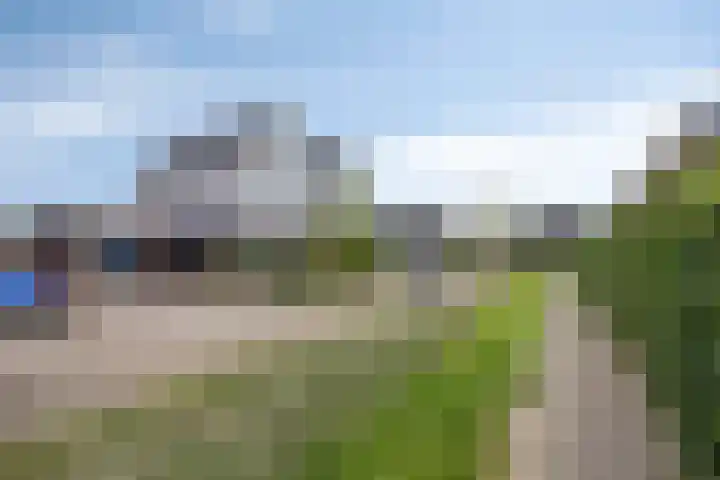 Nieuwenhove 13 Kruiningen thumbnail 46
