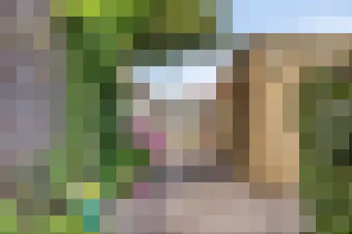 Nieuwenhove 13 Kruiningen thumbnail 49