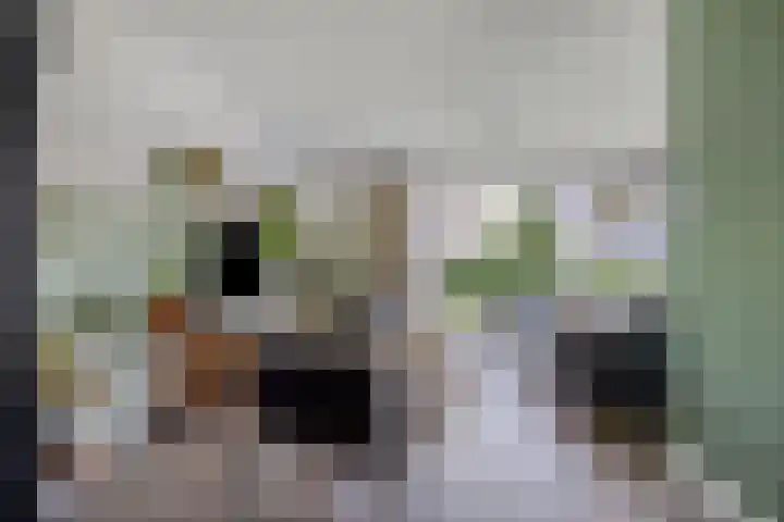 Nieuwenhove 13 Kruiningen thumbnail 5