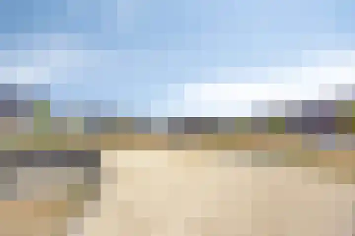 Nieuwenhove 13 Kruiningen thumbnail 50