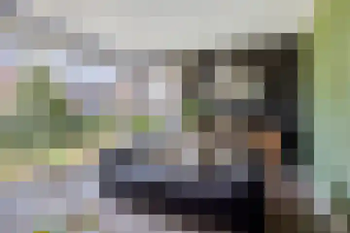 Nieuwenhove 13 Kruiningen thumbnail 6