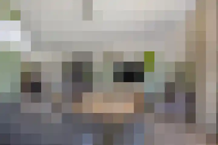 Nieuwenhove 13 Kruiningen thumbnail 7