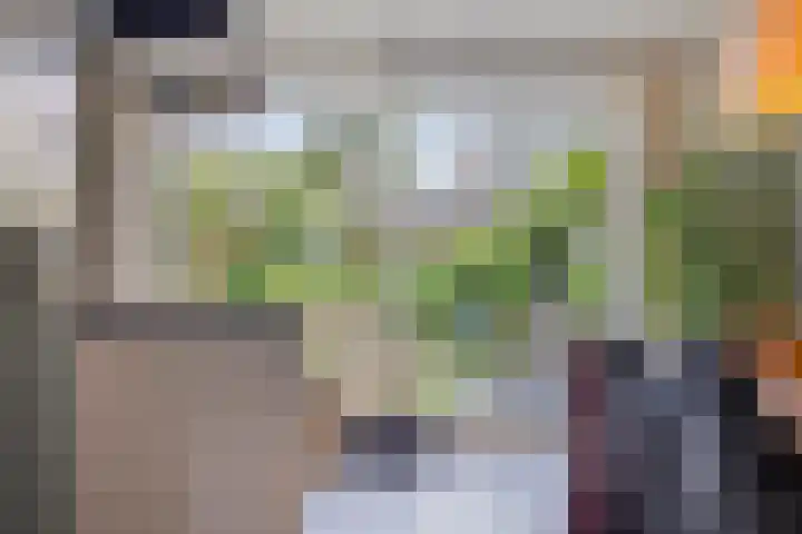 Nieuwenhove 13 Kruiningen thumbnail 8