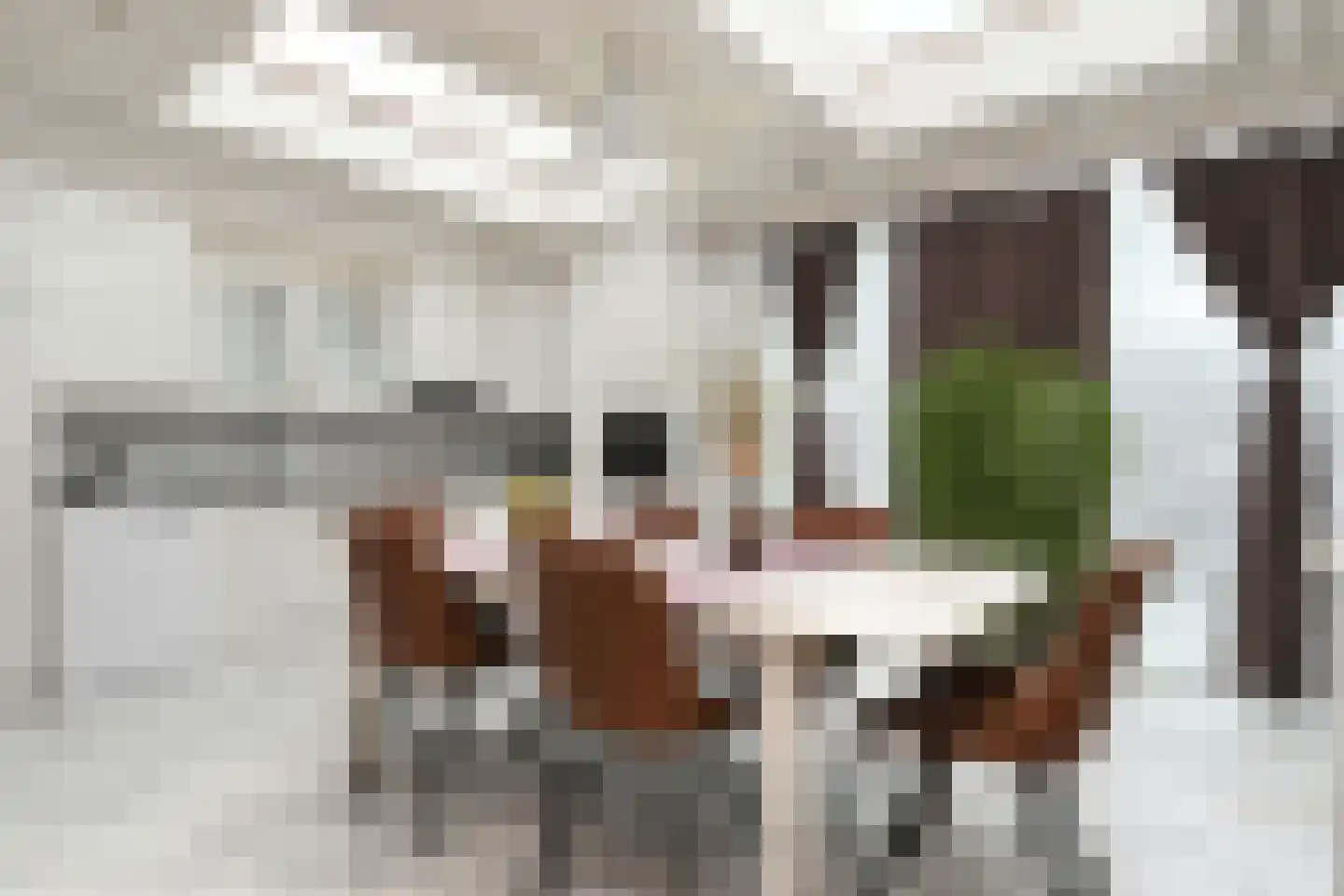 Nieuwenhove 2 A Weert thumbnail 10
