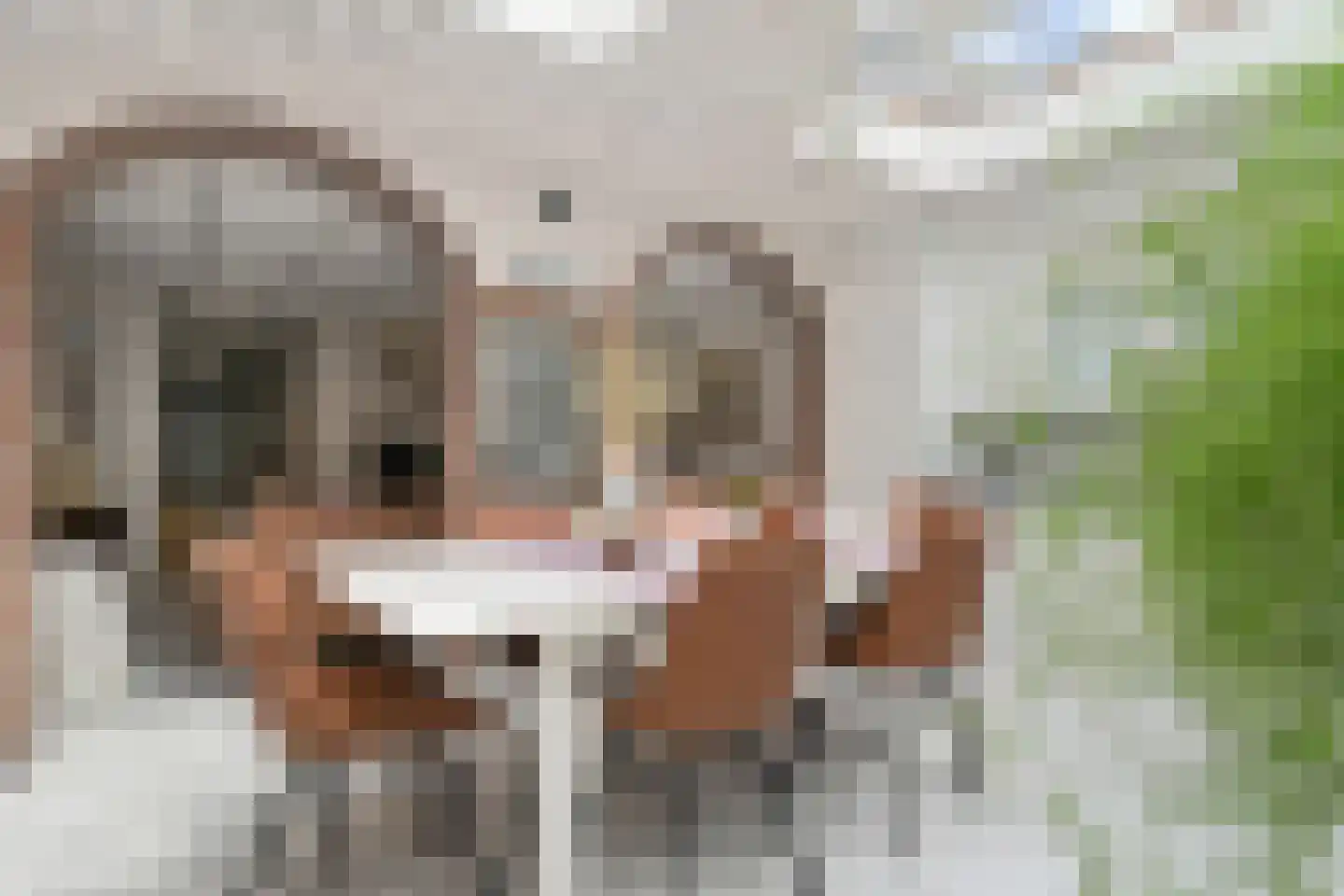 Nieuwenhove 2 A Weert thumbnail 11