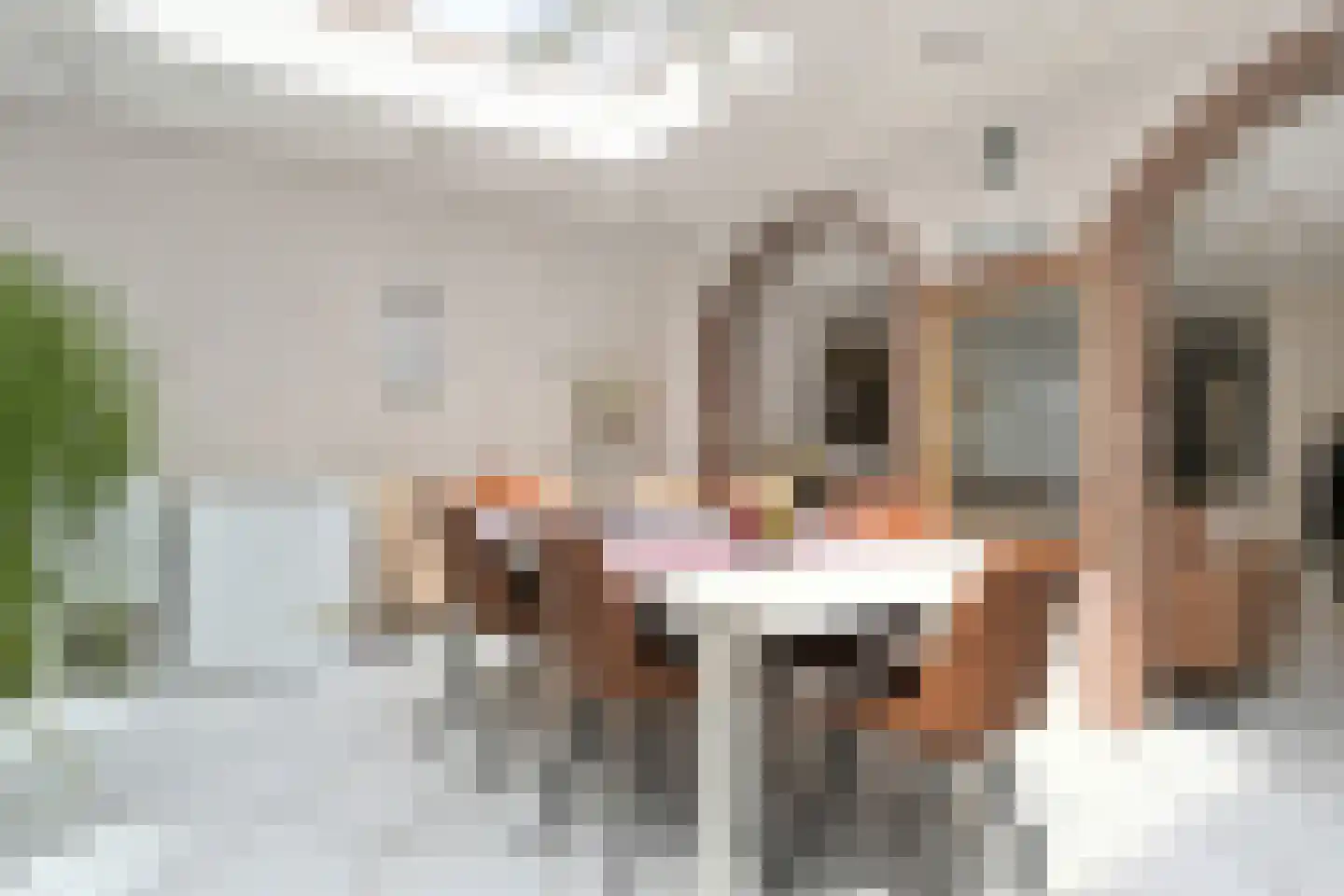 Nieuwenhove 2 A Weert thumbnail 12