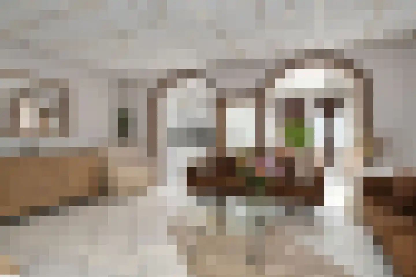 Nieuwenhove 2 A Weert thumbnail 6