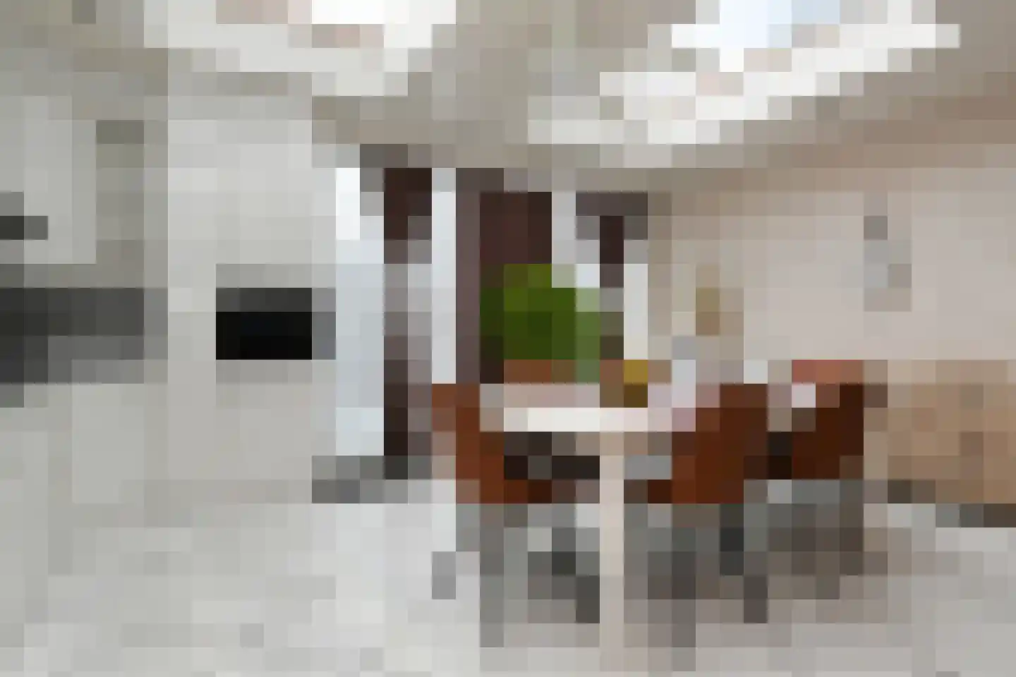 Nieuwenhove 2 A Weert thumbnail 9