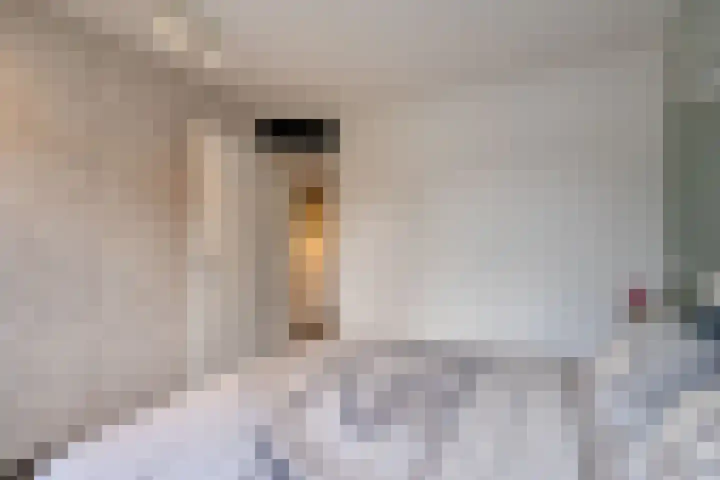Nieuwenhove 21 Weert thumbnail 18