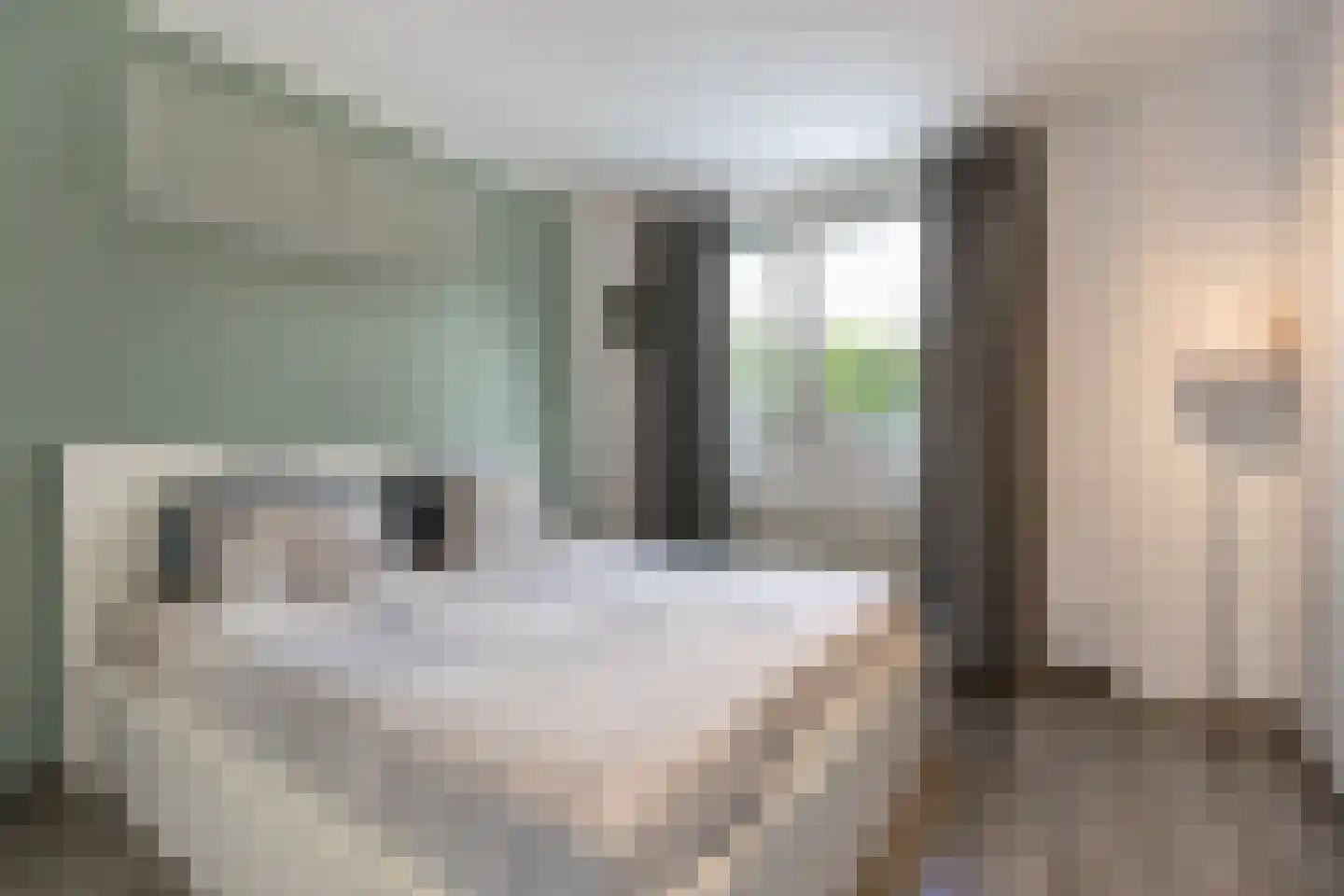 Nieuwenhove 21 Weert thumbnail 19