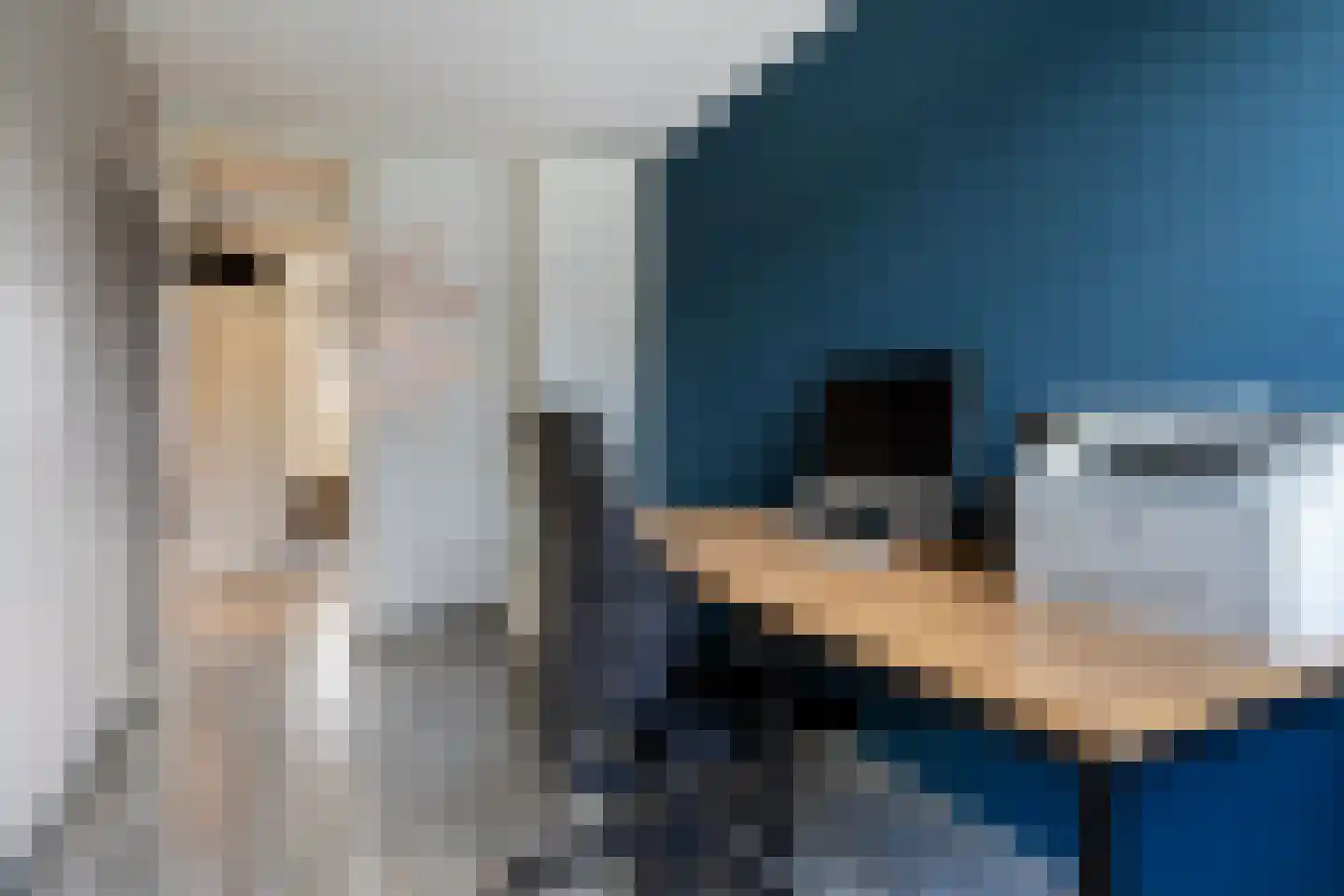 Nieuwenhove 21 Weert thumbnail 21