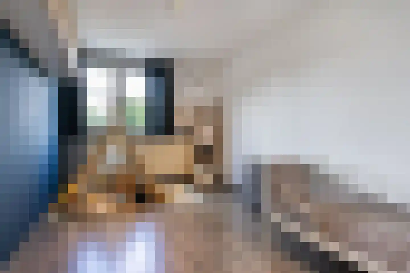 Nieuwenhove 21 Weert thumbnail 23