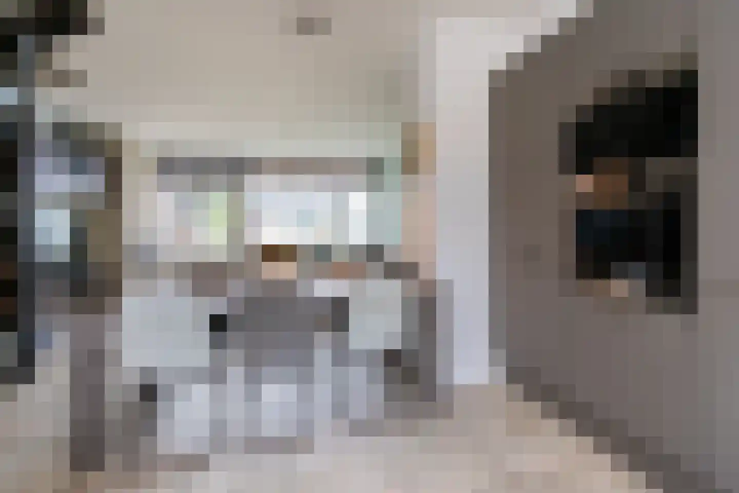 Nieuwenhove 21 Weert thumbnail 7