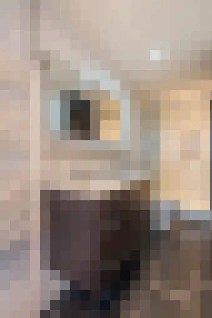 Nieuwenhove 35 Weert thumbnail 28