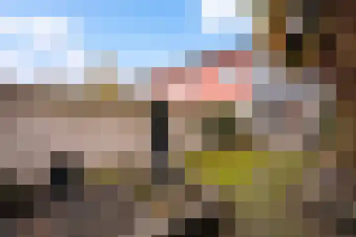 Nieuwenhove 35 Weert thumbnail 37