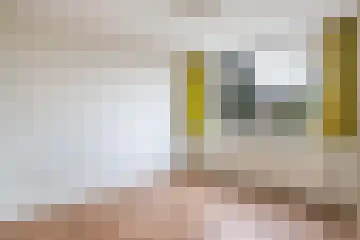Nieuwenhove 35 Weert thumbnail 4