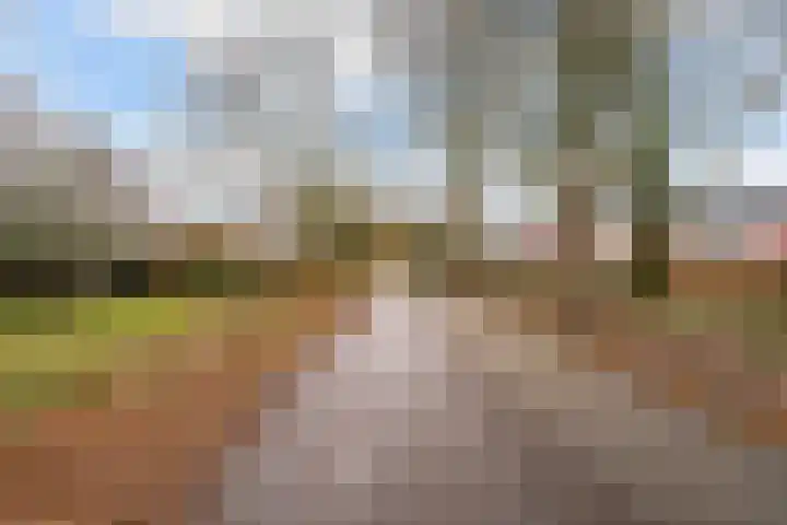 Nieuwenhove 35 Weert thumbnail 43
