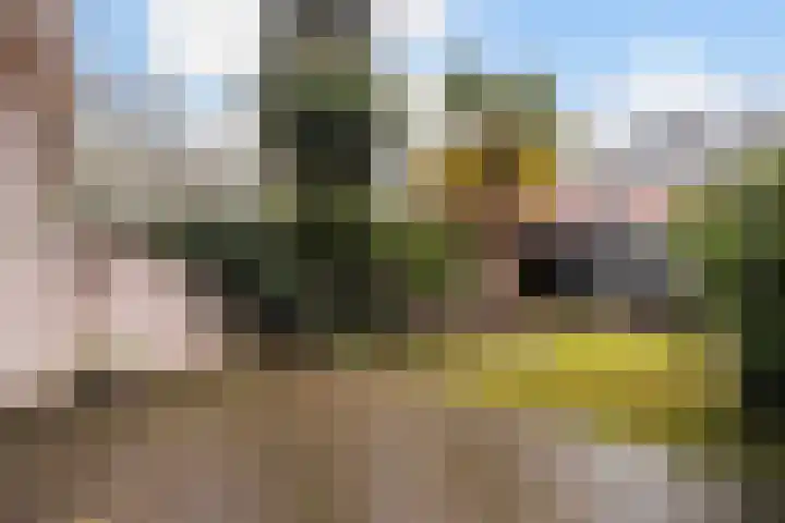Nieuwenhove 35 Weert thumbnail 5