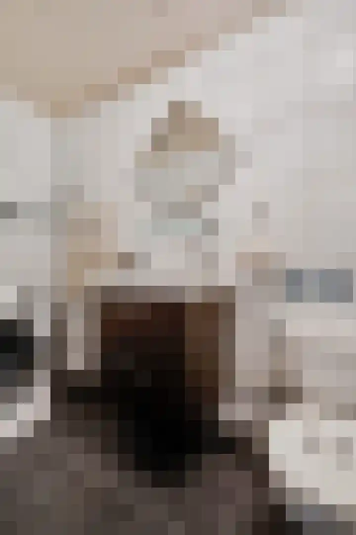 Nieuwenhove 43 Weert thumbnail 20