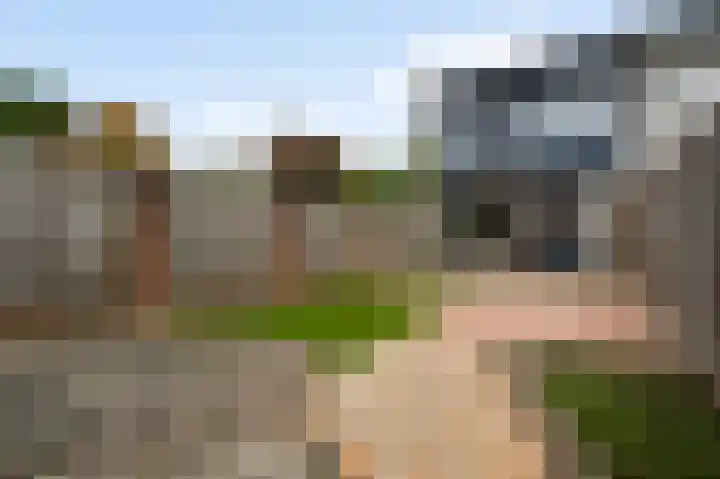 Nieuwenhove 43 Weert thumbnail 23