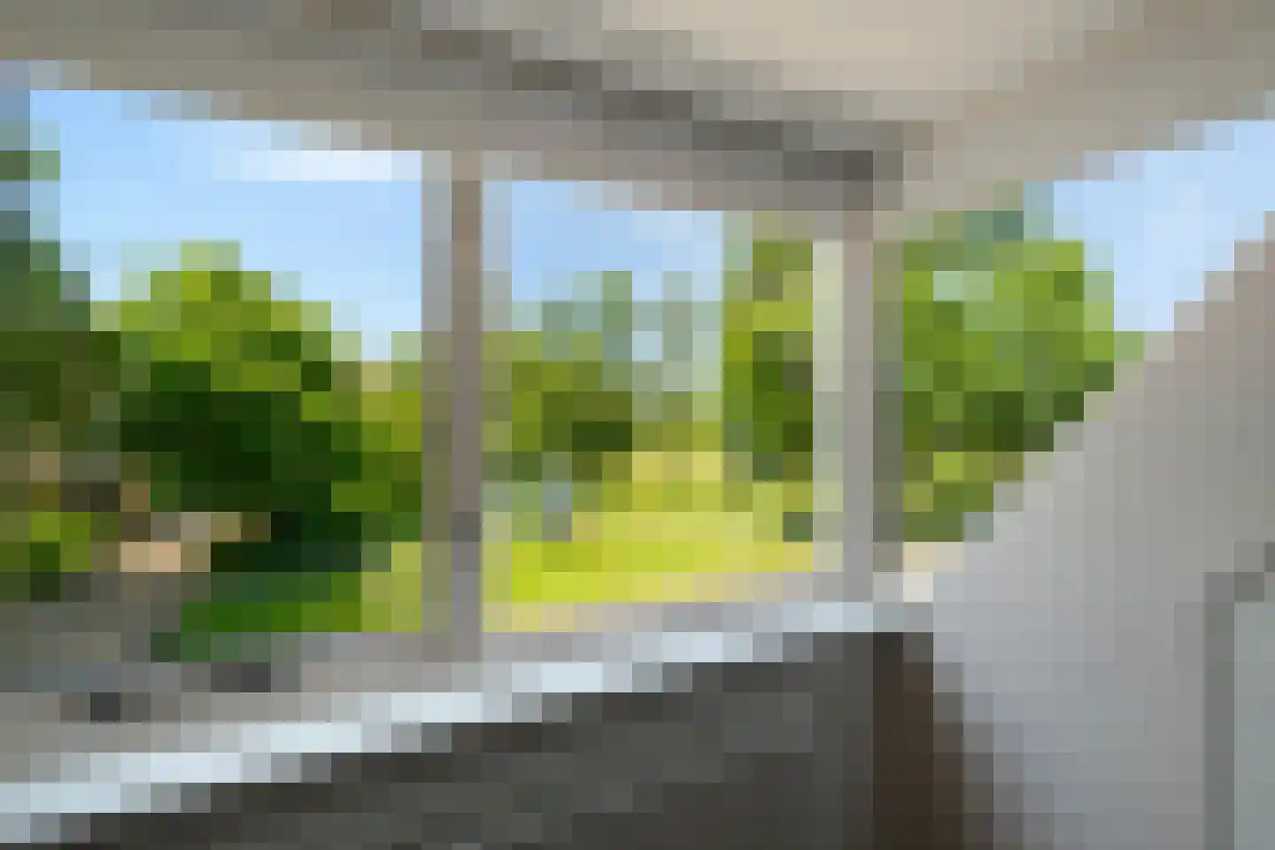 Nieuwenhoven 17 Anna Paulowna thumbnail 25