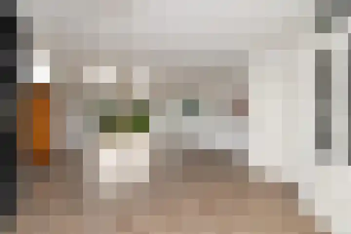 Nieuwenhoven 2 Anna Paulowna thumbnail 10