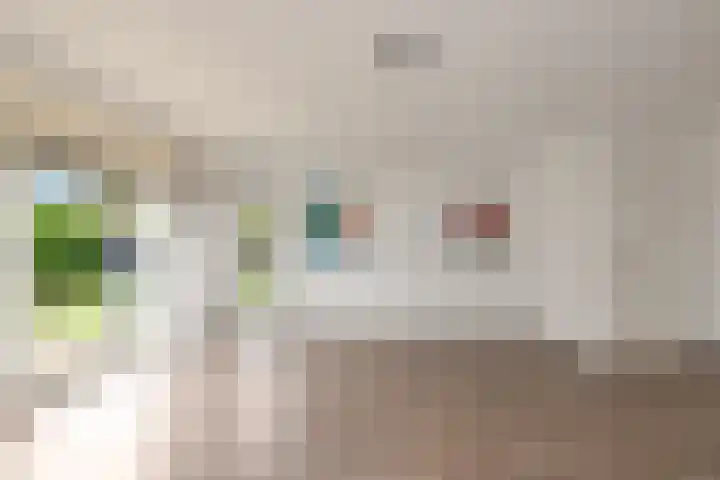Nieuwenhoven 2 Anna Paulowna thumbnail 12