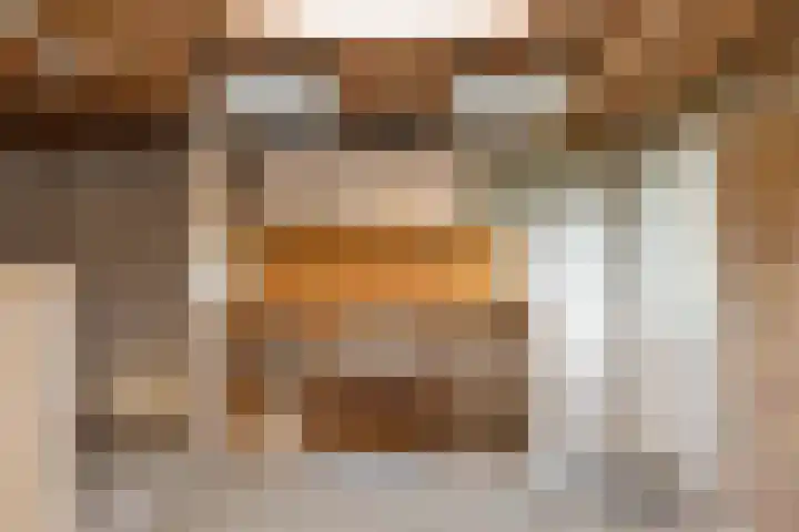 Nieuwenhoven 2 Anna Paulowna thumbnail 16