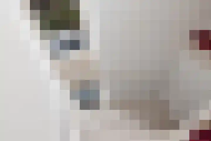 Nieuwenhoven 2 Anna Paulowna thumbnail 17