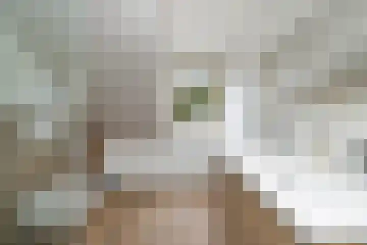 Nieuwenhoven 2 Anna Paulowna thumbnail 19
