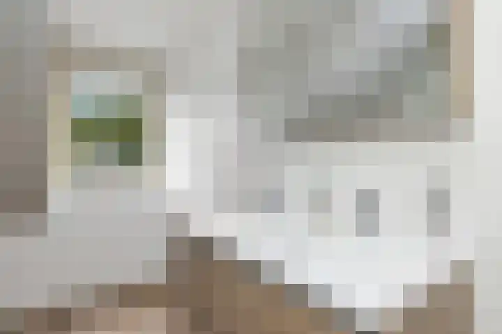 Nieuwenhoven 2 Anna Paulowna thumbnail 20