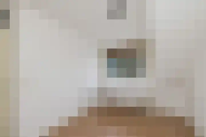 Nieuwenhoven 2 Anna Paulowna thumbnail 21