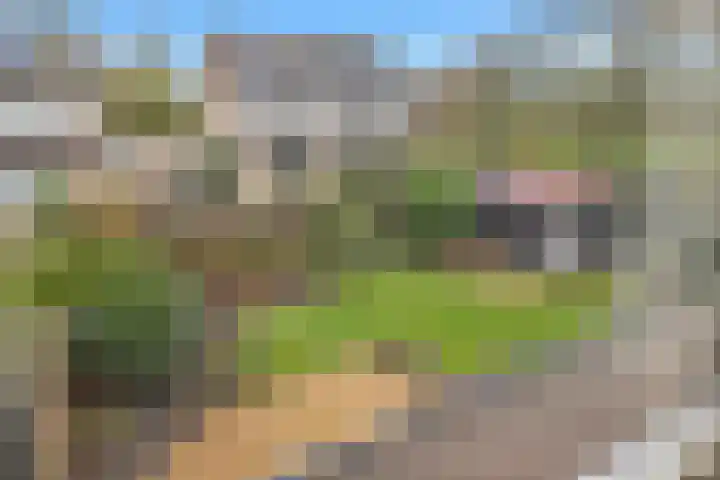 Nieuwenhoven 2 Anna Paulowna thumbnail 26
