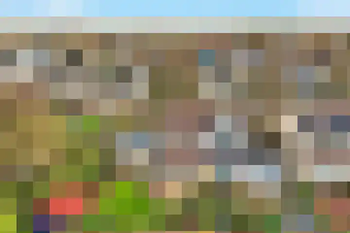 Nieuwenhoven 2 Anna Paulowna thumbnail 32