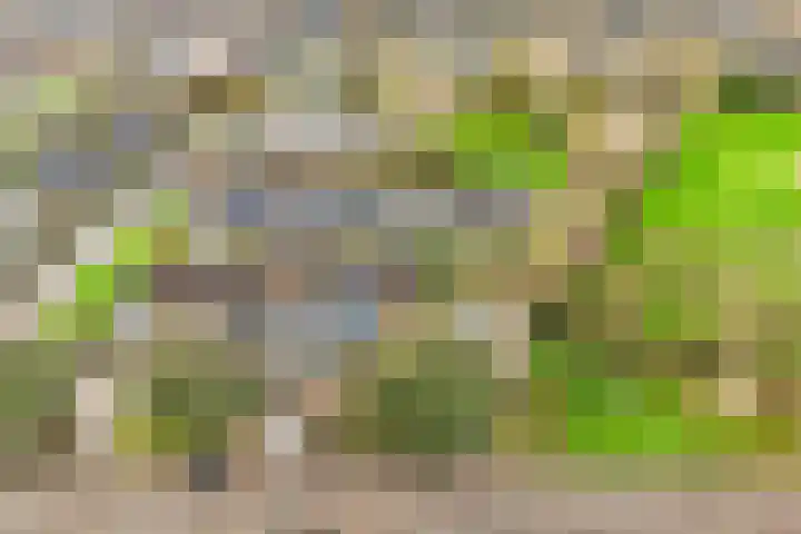 Nieuwenhoven 2 Anna Paulowna thumbnail 37
