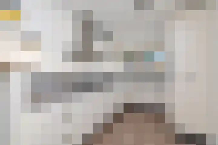 Nieuwenhoven 2 Anna Paulowna thumbnail 4
