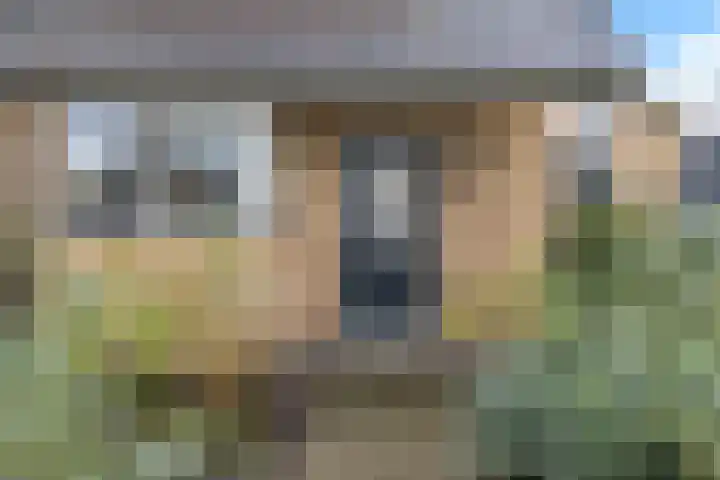 Nieuwenhoven 2 Anna Paulowna thumbnail 7