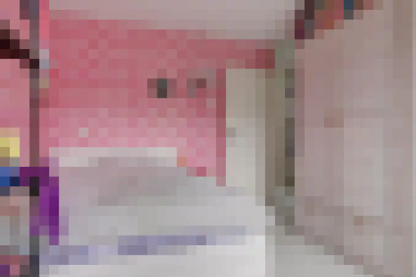 Nieuwenhoven 29 Anna Paulowna thumbnail 18