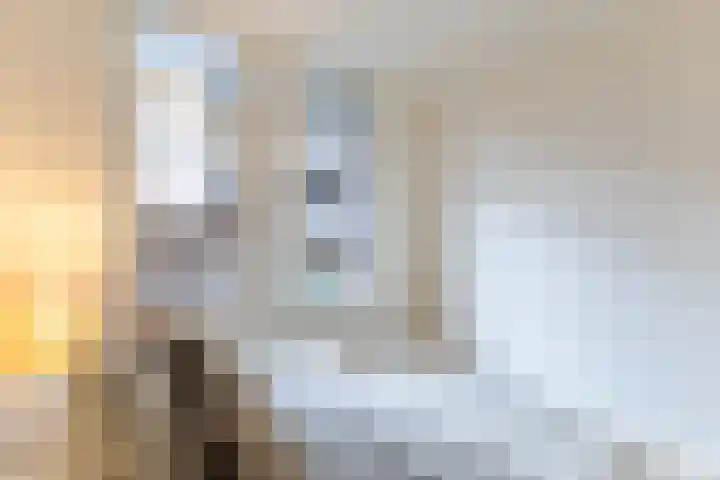 Kantoor foto van Nieuwenhuis - meer dan een makelaar