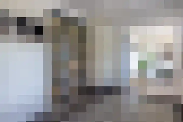 Nieuwenhuisstraat 1 Rijssen thumbnail 13