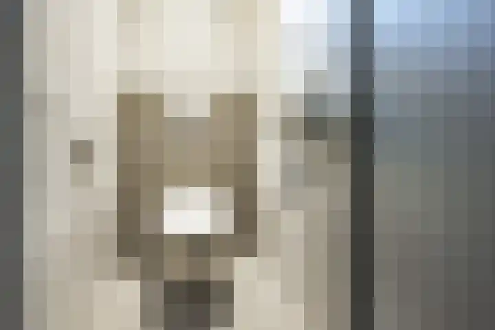 Nieuwenhuisstraat 1 Rijssen thumbnail 23