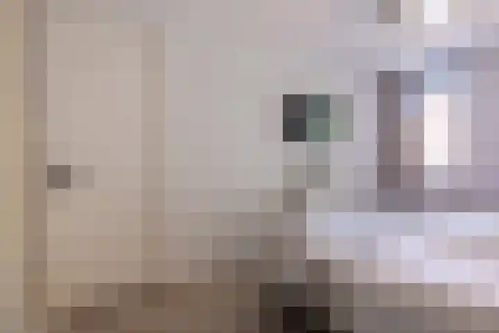 Nieuwenhuisstraat 1 Rijssen thumbnail 25